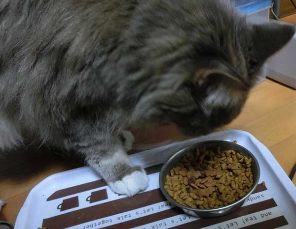 ハッピークランチ