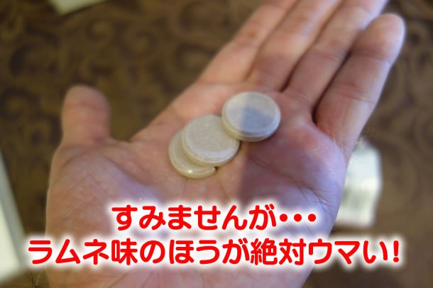 ココア味はおいしくない