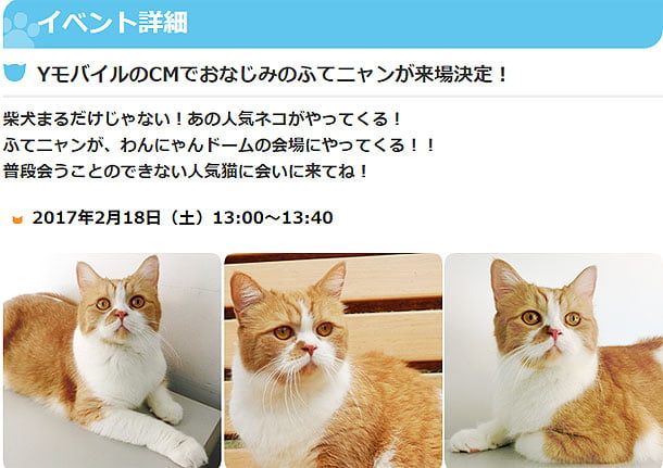 ふてにゃん